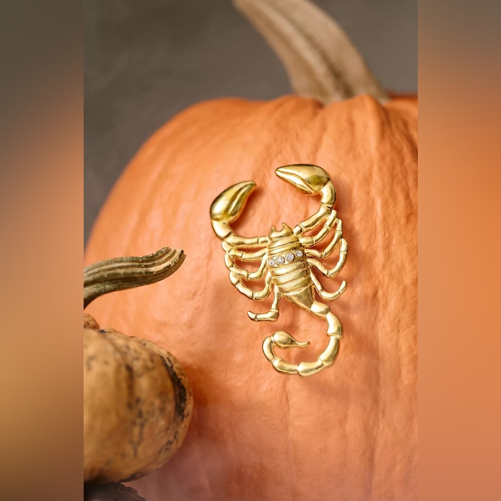 Anthropologie Halloween Gold Scorpion Scorpio Pumpkin Pin Charms Decor NWT